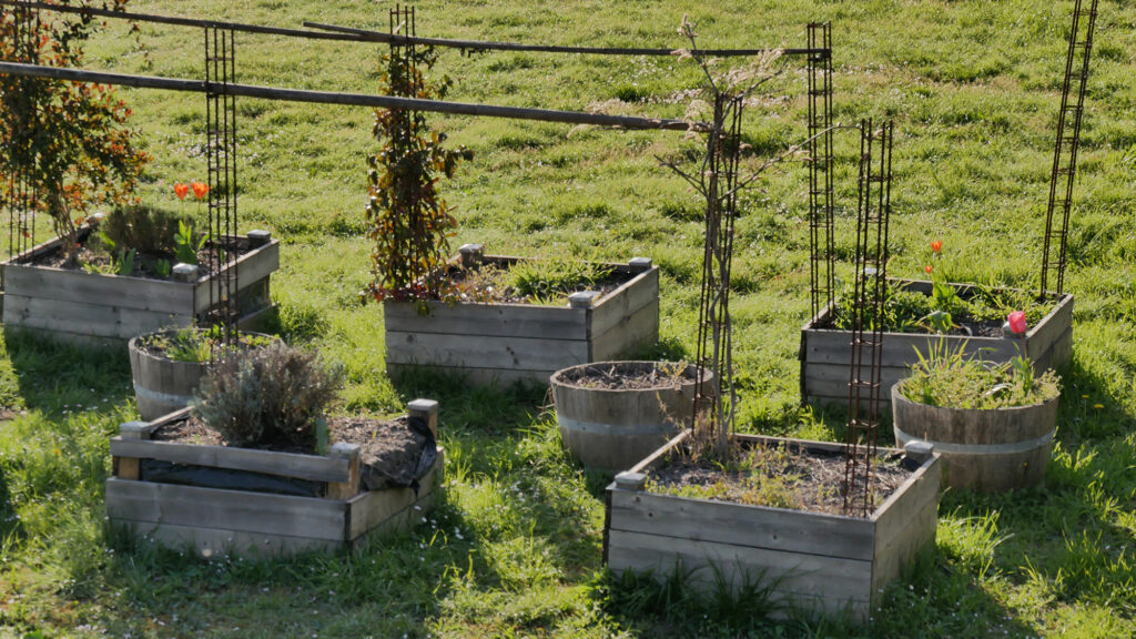 Bacs plantation école 2021